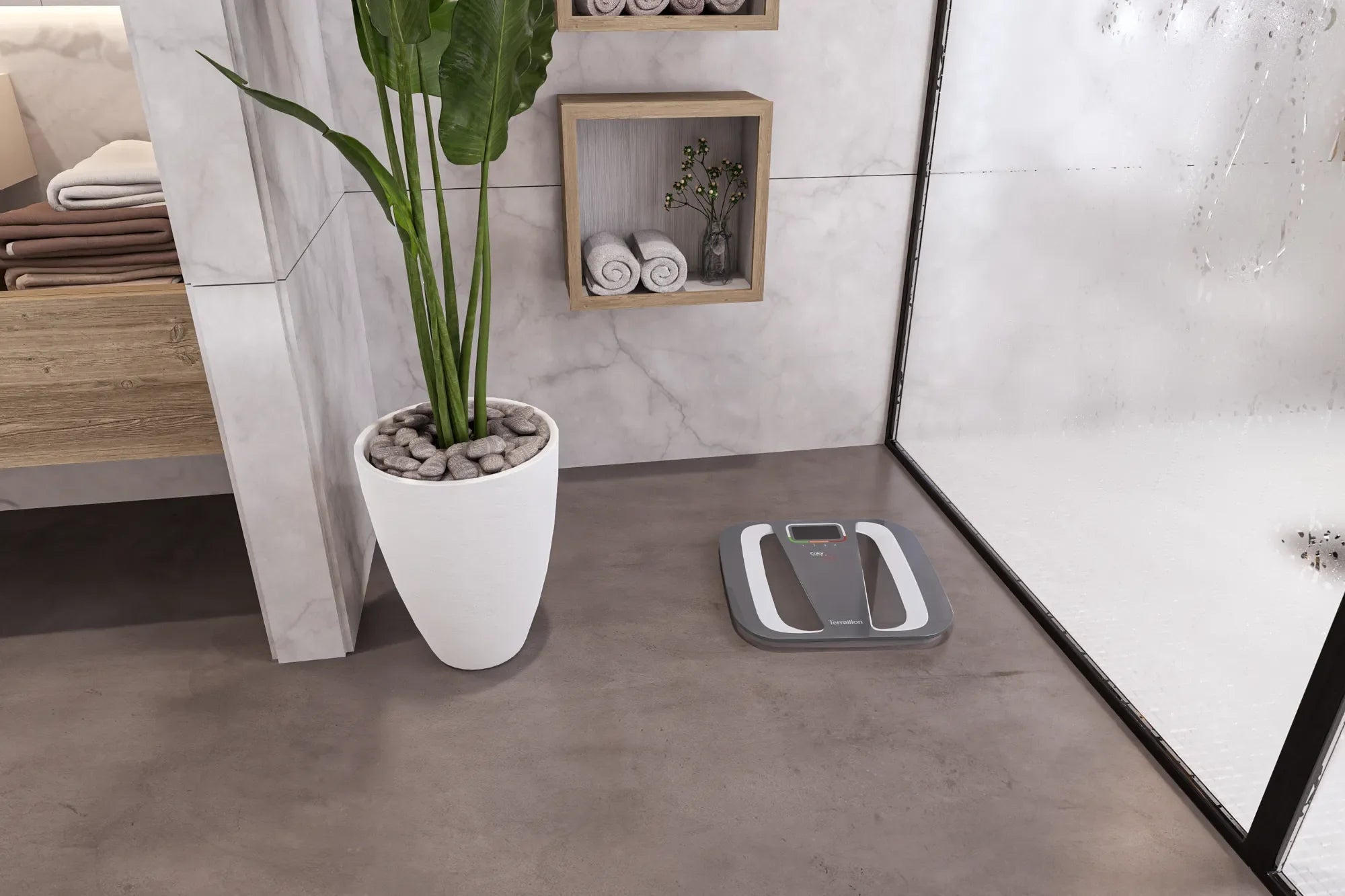 COLOR COACH QUATTRO - Pèse-personne électronique